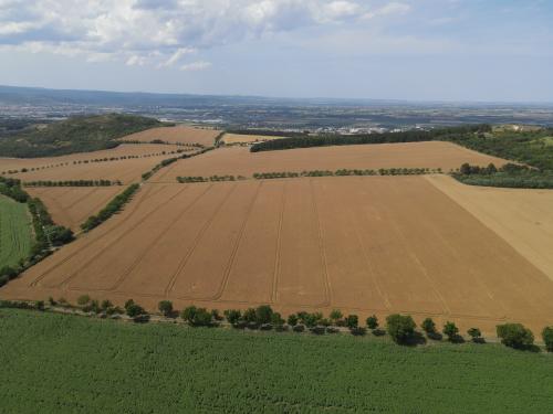 DJI_3581.JPG